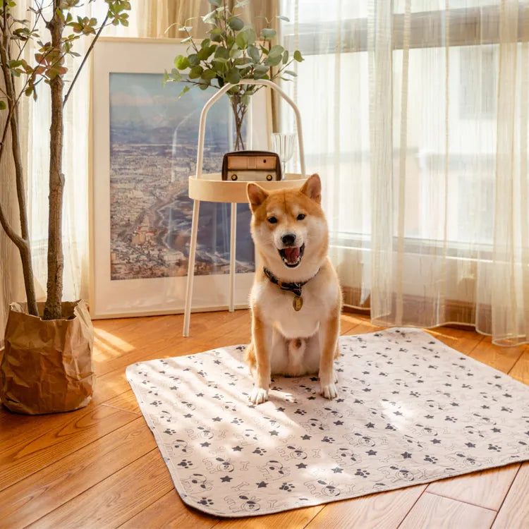 PuppyPad - The Last Pee Pad You'll Get