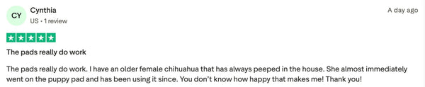 Customer review 10