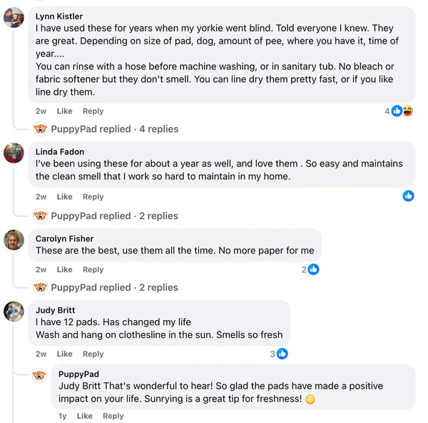 Customer review 4