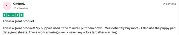 Customer review 6