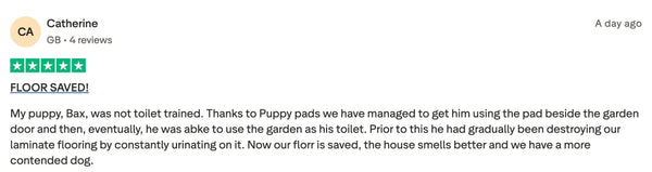 Customer review 3