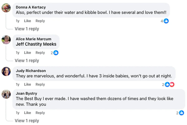 Customer review 8