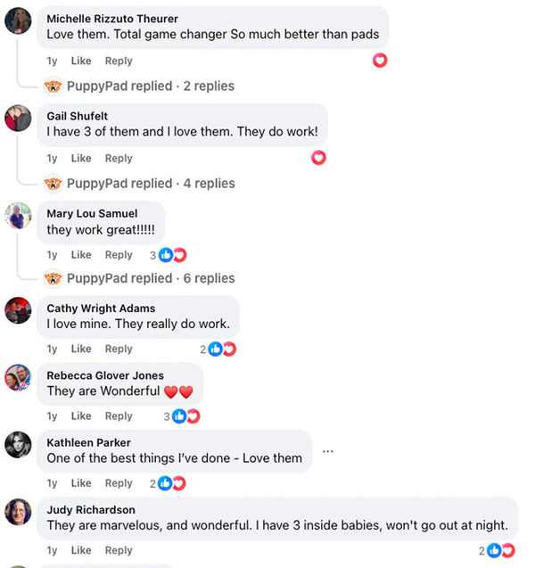 Customer review 2